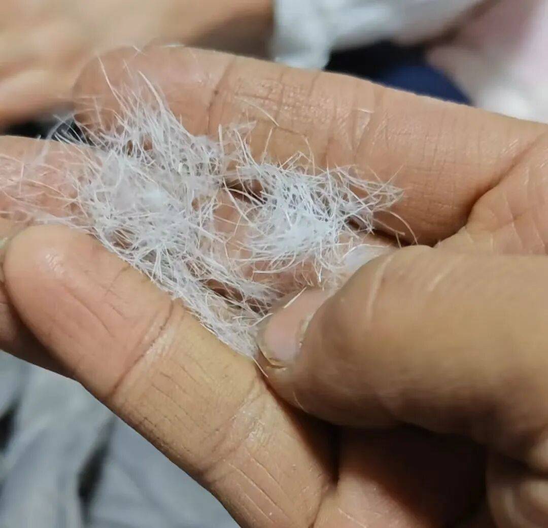 毛”消费者怀疑是假货商家悄悄删改宣传语pg模拟器试玩买抗寒睡袋“鸭绒”变“鸭(图2)